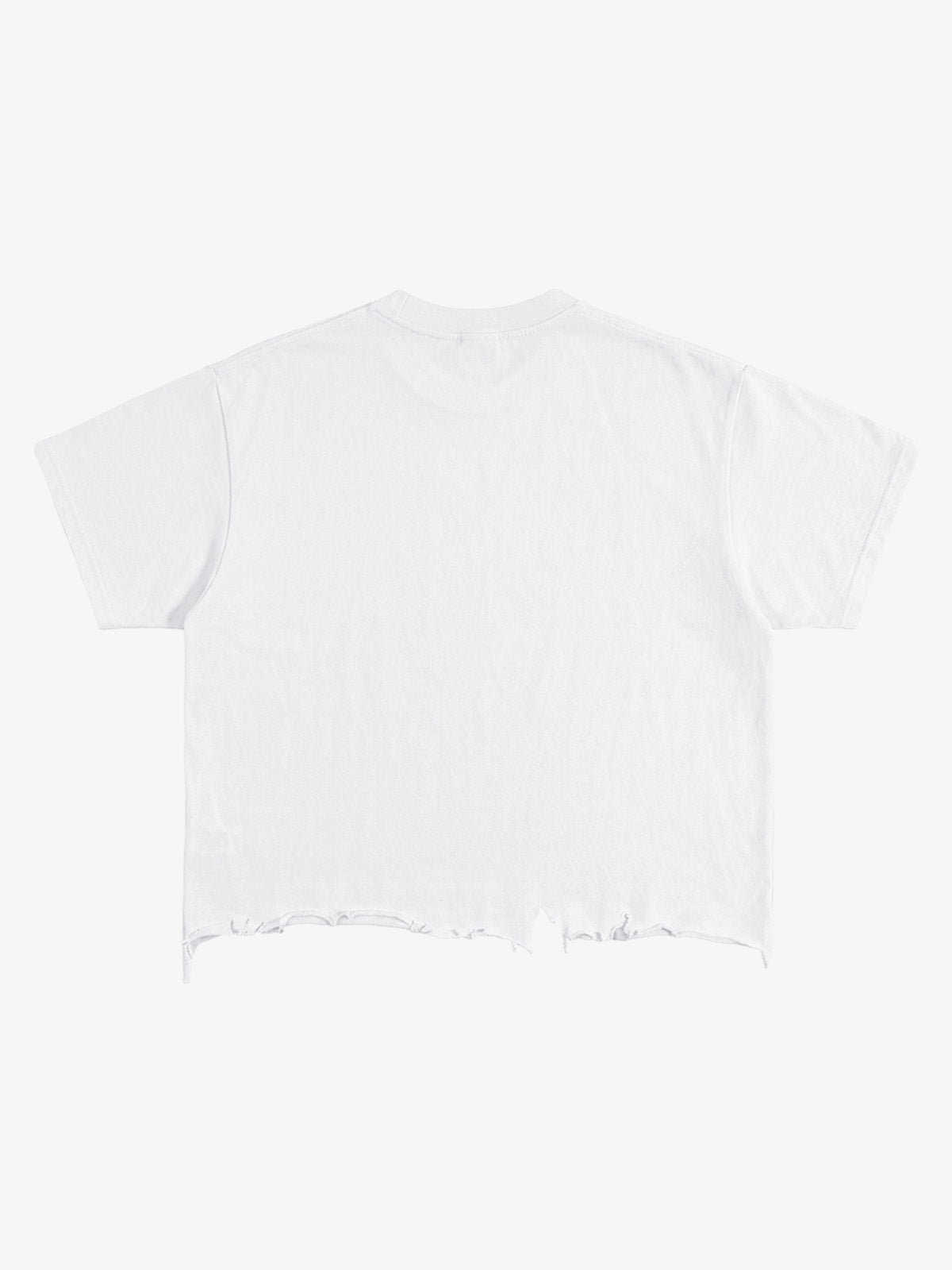 Mythological Graphic Cropped Tee